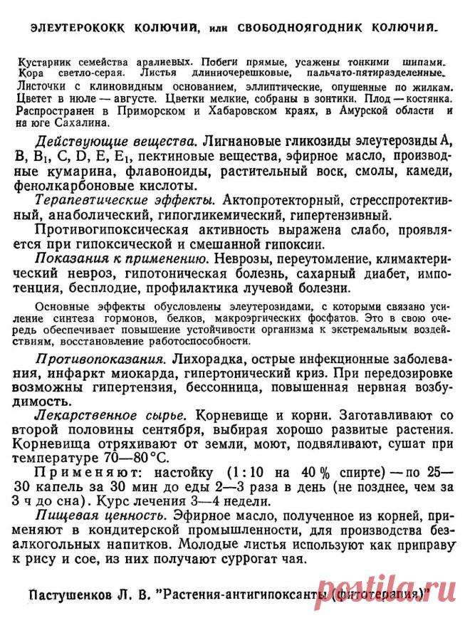 Элеутерококк колючий