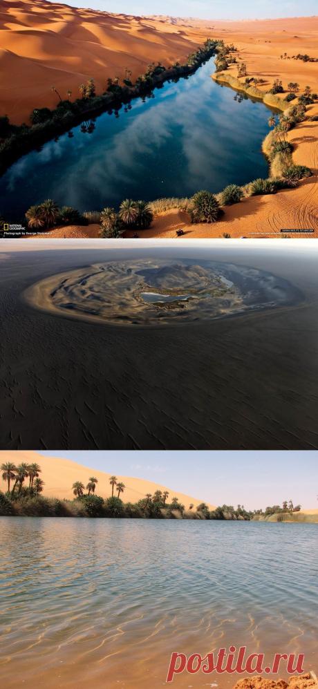 Ливийский оазис