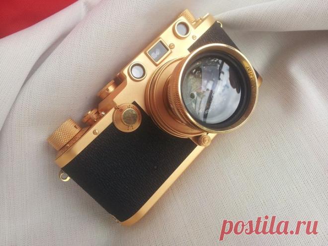 (2) Jan Zielonka | Facebook