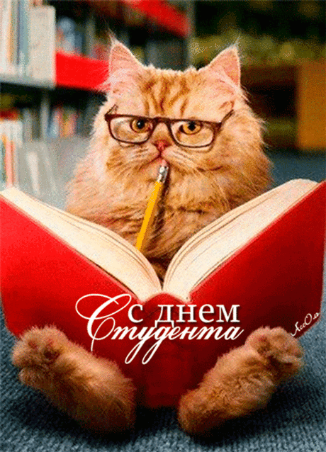 Гифки анимация с Днем студента