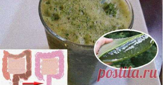 Научитесь выводить до 9 килограммов токсинов из толстой кишки за день и очищать ее - Интересный блог