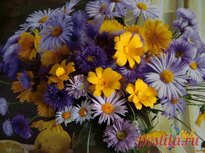 Neli Quilling Art: Flowers