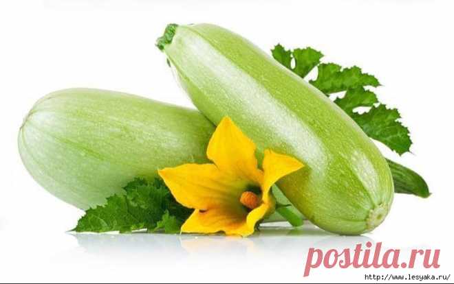 10 бесподобно вкусных рецептов кабачков на лето!