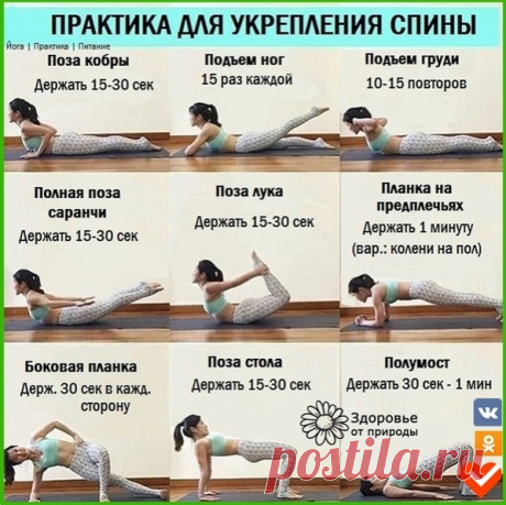Уделите своей спине всего несколько минут в день!