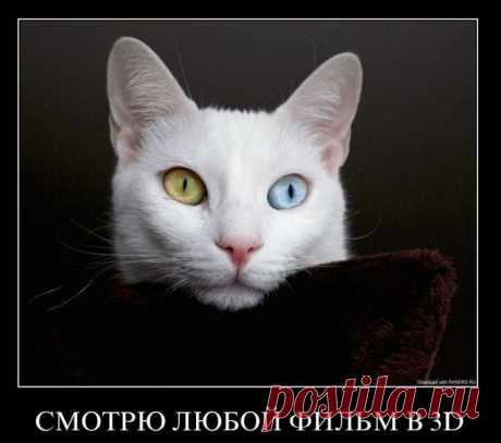 Вот так