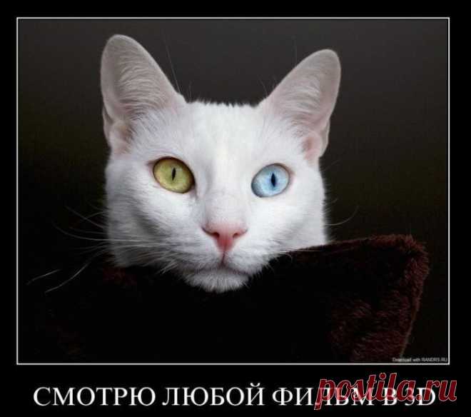 Вот так