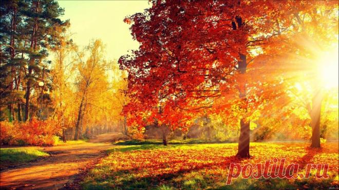 Картинки про осень (36 фото) ⭐ Забавник