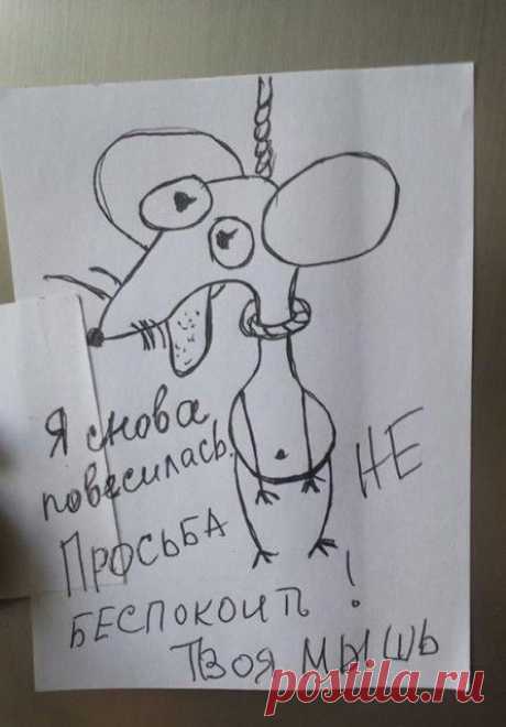 Объявления на холодильнике, комедь и трагедь полныя... | Приколисты