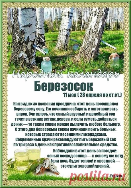 С Максимовым днем! Желаю, чтобы, как береза поит соками, так и жизнь поила вас радостью и благополучием! Открытки на Березосок!