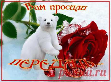 Интересные новости