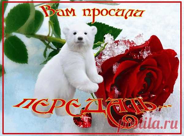 Интересные новости