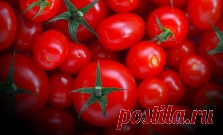 Отличная подкормка для Помидор проверенная годами | Сад и огород | Яндекс Дзен