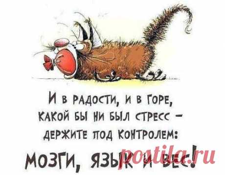 +++