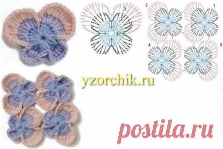 Цветы анютины глазки