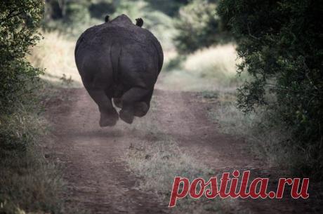 30 лучших снимков National Geographic за год / Всё самое лучшее из интернета