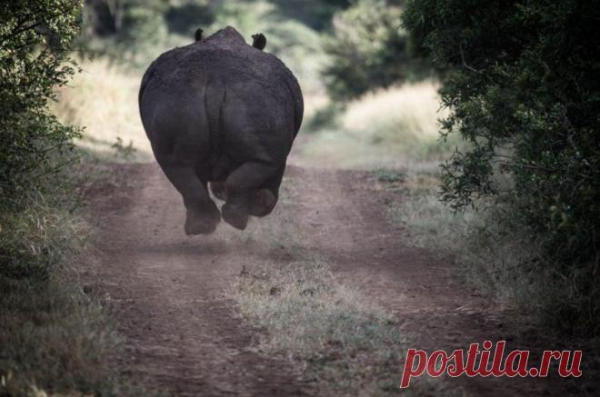 30 лучших снимков National Geographic за год / Всё самое лучшее из интернета