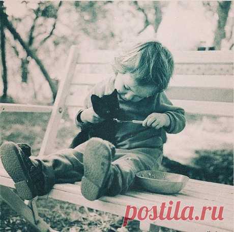 Мой Мир@Mail.Ru