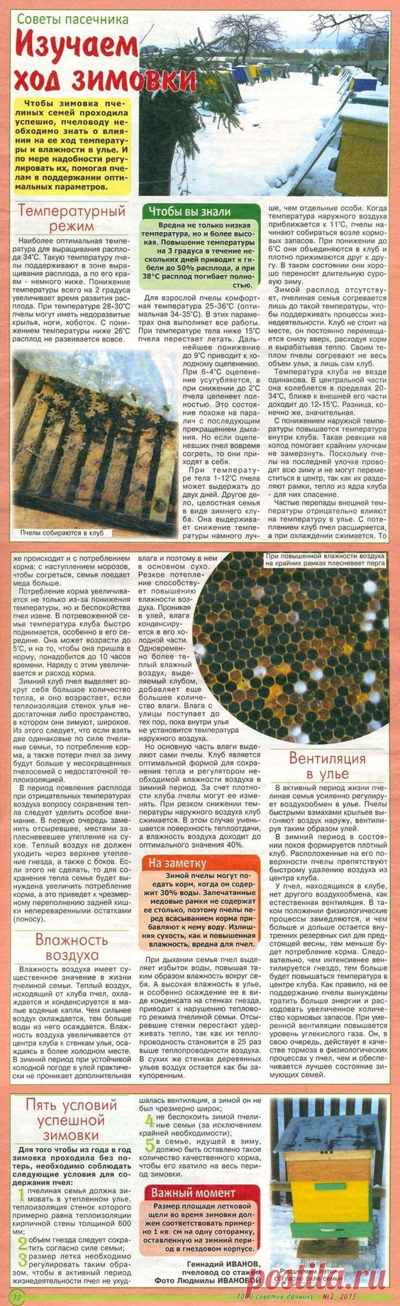 Изучаем ход зимовки пчёл