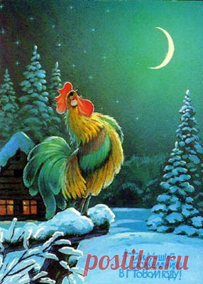 НОВОГОДНИЙ - 50 фото. Фотографии zoja simonova.