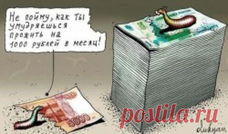 Как прожить на 5000 рублей в месяц, список продуктов | МИКС