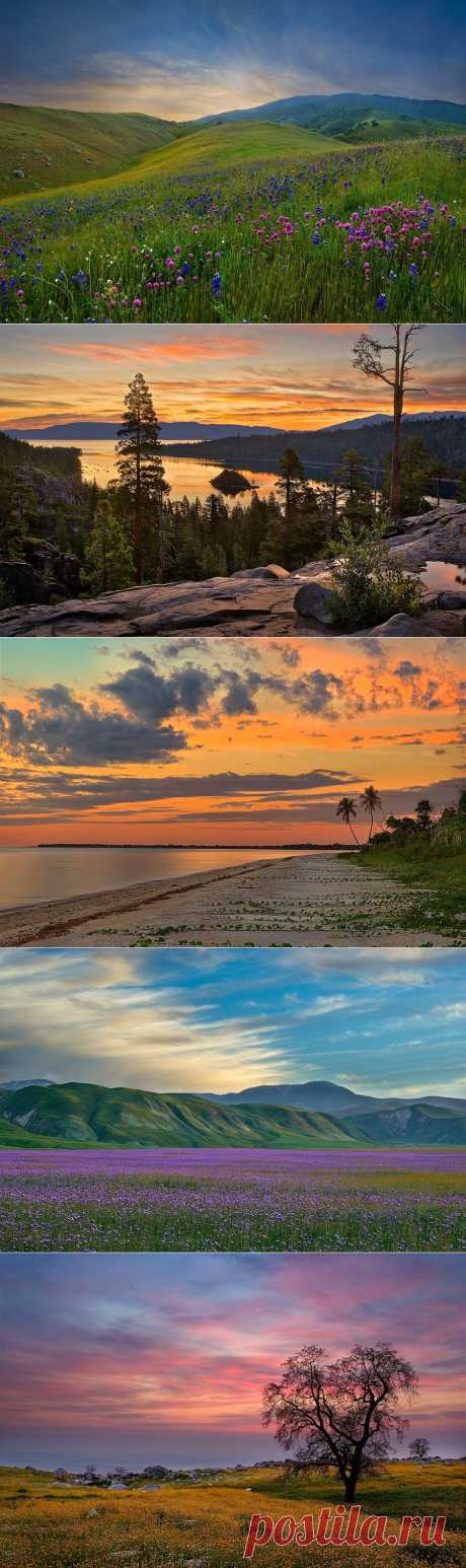 Природа. Фотограф Mark Geistweite.