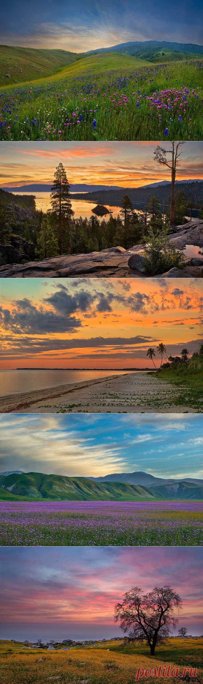 Природа. Фотограф Mark Geistweite.