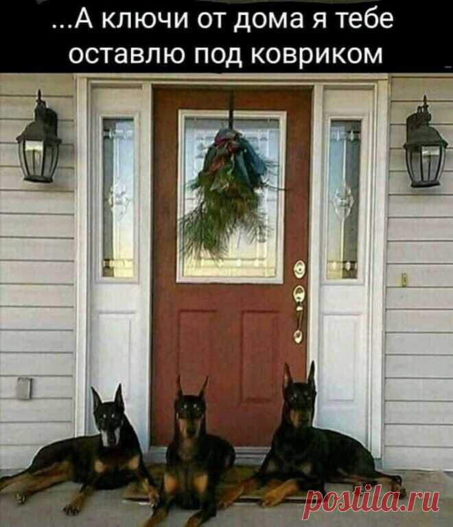 Подборка доброго фото 