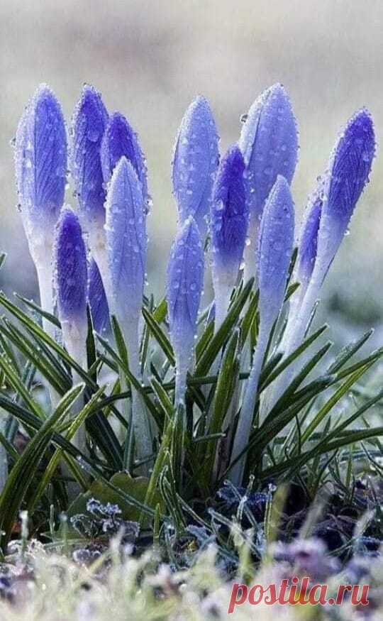 (2) Facebook