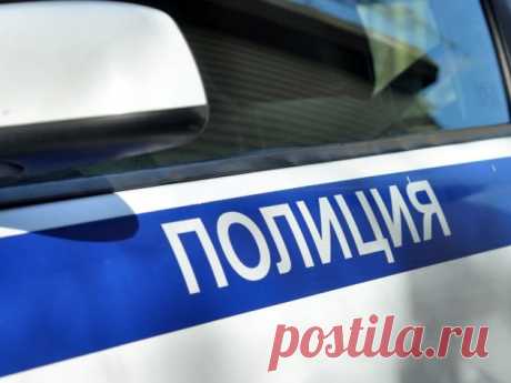 Жителя Ярославской области подозревают в убийстве соседки — TwitRegion, новости Ярославля