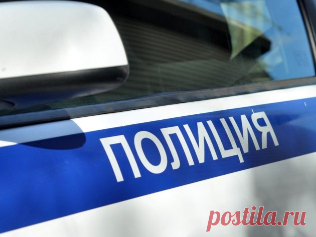 Жителя Ярославской области подозревают в убийстве соседки — TwitRegion, новости Ярославля