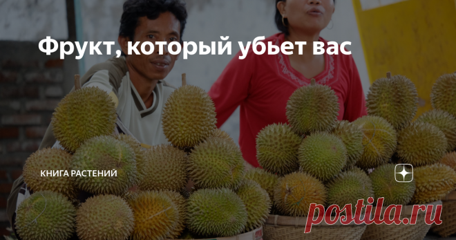 Фрукт, который убьет вас ...или заставит стонать от наслаждения — уж как повезёт
Сегодня  #КнигаРастений  приглашает вас распробовать кое-что очень странное и знаменитое, иначе говоря читайте свежайшую статью о дуриане, который многие называют 