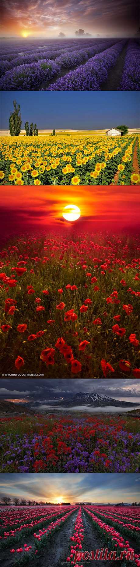 50 Mind-Blowing Examples of Landscape Photography | Bored Panda