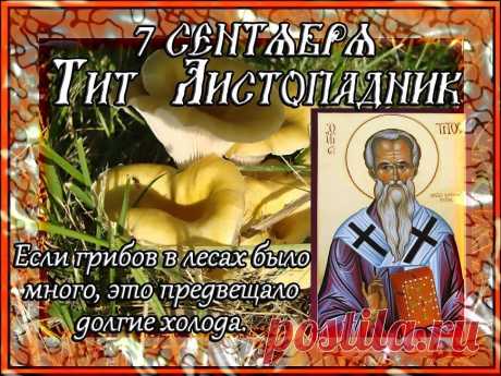 Православной церковью в этот день чтится память апостола от 70-ти Тита, епископа Критского. Другие названия праздника: «Тит», «Тит Грибник», «Тит и Варфоломей», «Гриборост», «Замолотки».