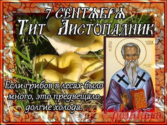 Православной церковью в этот день чтится память апостола от 70-ти Тита, епископа Критского. Другие названия праздника: «Тит», «Тит Грибник», «Тит и Варфоломей», «Гриборост», «Замолотки».