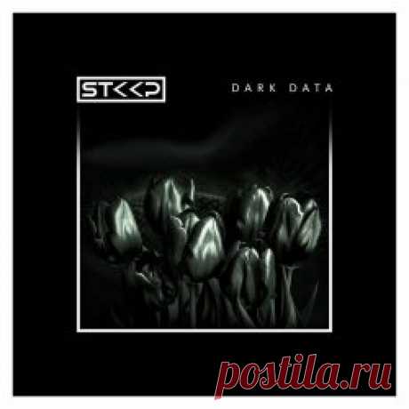 STKKP - Dark Data (2025) Artist: STKKP Album: Dark Data Year: 2025 Country: USA Style: Electronic, Industrial, Ambient