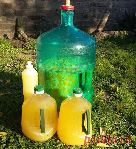 Prácticas Ideas para el Hogar...: Detergente ecológico casero de cáscaras de naranja y cítricos – Receta