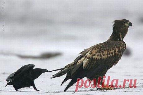 Интересные новости