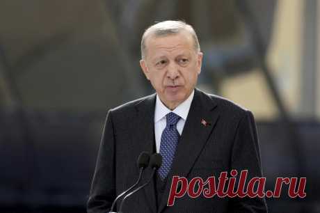 Эрдоган осудил нападки на российских деятелей культуры на Западе