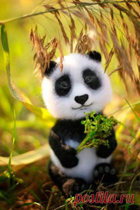 Как сделать своими руками из картона яблоко в технике “декопатч” | Рукоделие и хобби. Видео, фото: как сделать, сшить, связать своими руками