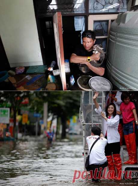 41 фото. Медленно уходящие разрушительные воды потопа в Таиланде &amp;raquo; Большие фото: ты увидишь мир