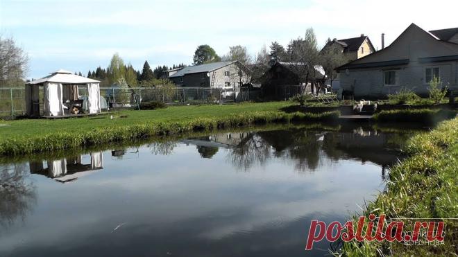 Пруд с рыбой на даче. Какие радости и заботы. Зарыбление, обслуживание, отдых Какие заботы и радости от своего пруда. В хозяйстве на своём участке в пруд запускаю и кормлю рыбу карпа и щуку. Выращиваю до товарного веса и вылавливаю кру...