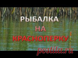 Удачная рыбалка