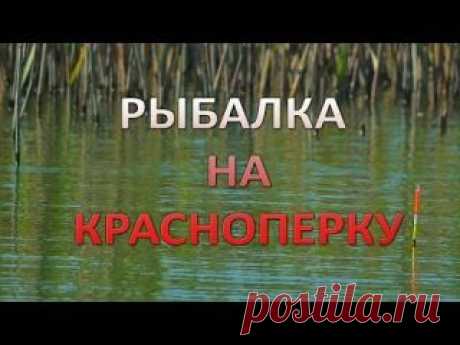 Удачная рыбалка