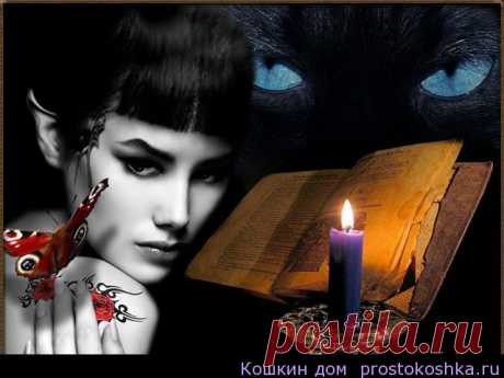 Вот и настали времена, когда в моду вошли... ведьмы. Огромное количество женщин, и еще большее – девушек - с утра до ночи пасутся на откровенно чернушных форумах.В последнее время пошел настоящий вал пропагандирующей оккультизм теле- и интернет-продукции: «Дозоры», «Сумерки», «Битвы» и прочее. Дети смотрят «Поттера» и «Winx». Сотни тысяч девочек и девушек мечтают стать ведьмами.