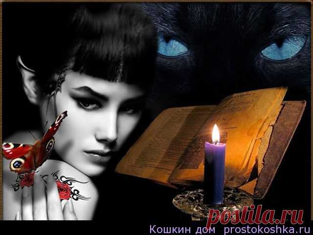 Вот и настали времена, когда в моду вошли... ведьмы. Огромное количество женщин, и еще большее – девушек - с утра до ночи пасутся на откровенно чернушных форумах.В последнее время пошел настоящий вал пропагандирующей оккультизм теле- и интернет-продукции: «Дозоры», «Сумерки», «Битвы» и прочее. Дети смотрят «Поттера» и «Winx». Сотни тысяч девочек и девушек мечтают стать ведьмами.