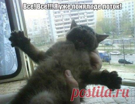 Новости