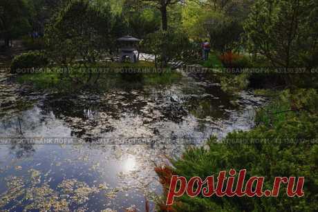 Японский сад в Главном ботаническом саду имени Н. В. Цицина (2013 год) Редакционное фото, фотограф Ilaronsia / Фотобанк Лори