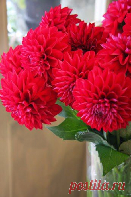 EVERY KIND OF FLOWERS – Сообщество – Google+