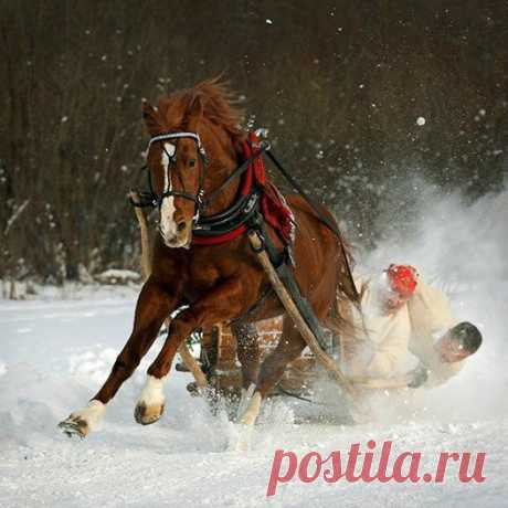 (2) Facebook