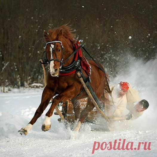 (2) Facebook